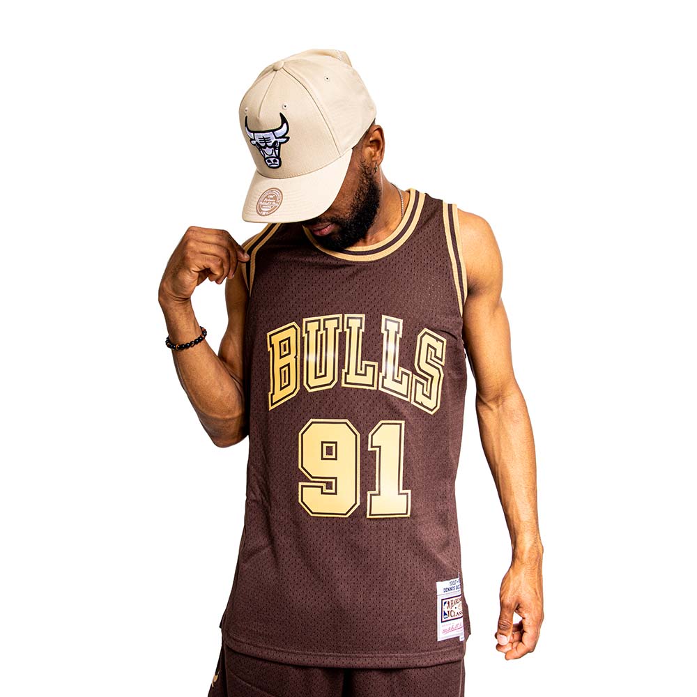 NBA LUX BROWN SWINGMAN JERSEY BULLS 1997 DENNIS RODMAN