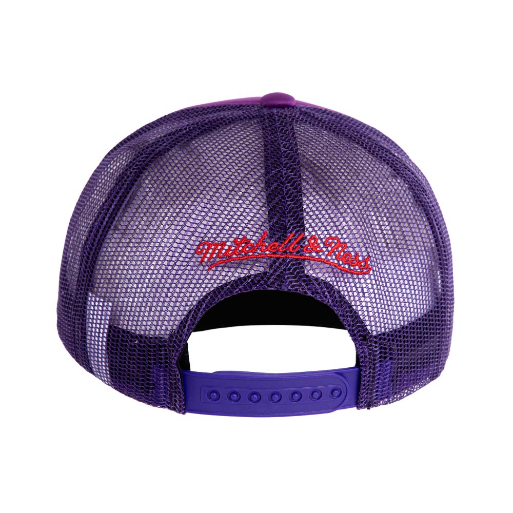 NBA PUFF THE MAGIC TRUCKER HWC RAPTORS