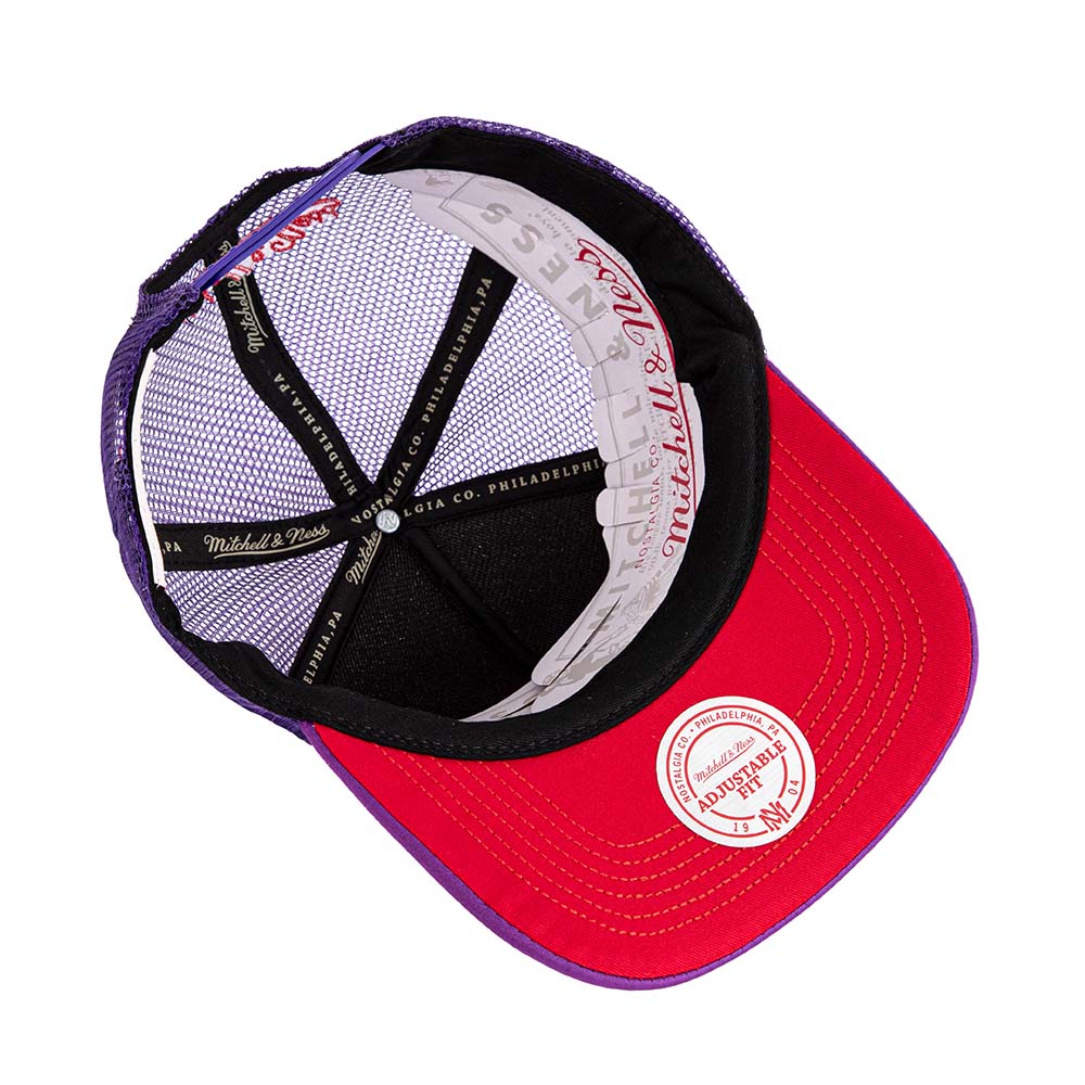 NBA PUFF THE MAGIC TRUCKER HWC RAPTORS