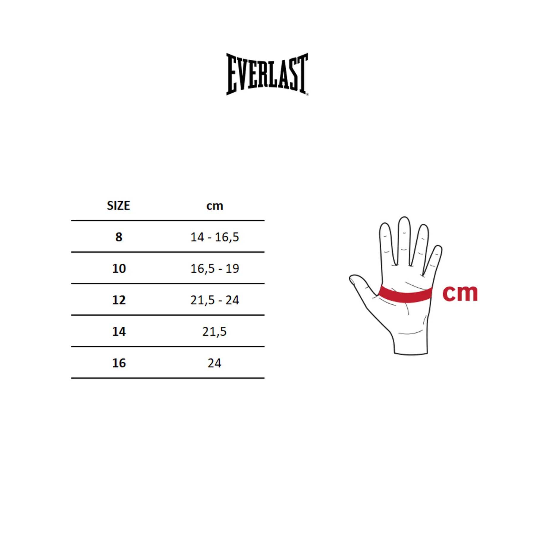 Guantes Box ELITE V2 Everlast