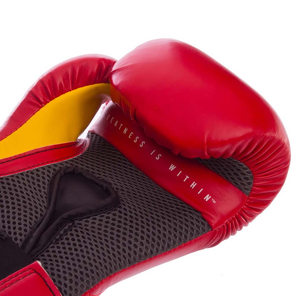 GUANTES BOX EVERLAST ELITE RJ