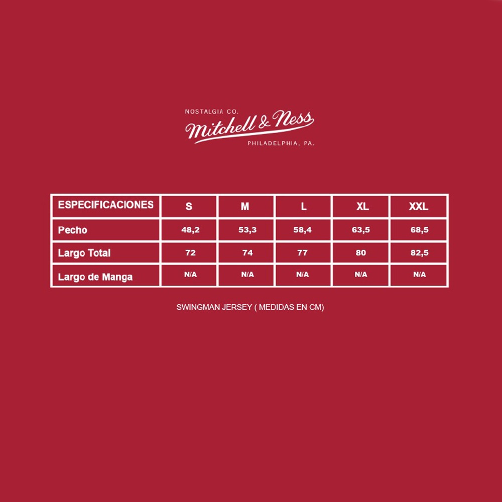 Polera Mitchell And Ness Authentic Jersey - Mj Mitchell And Ness