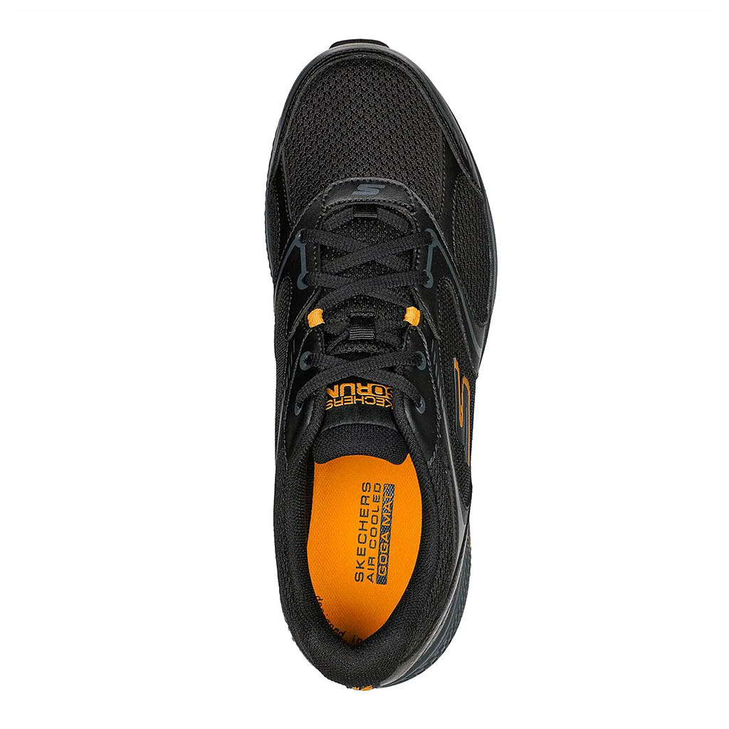 GO RUN CONSISTENT - SPECIE