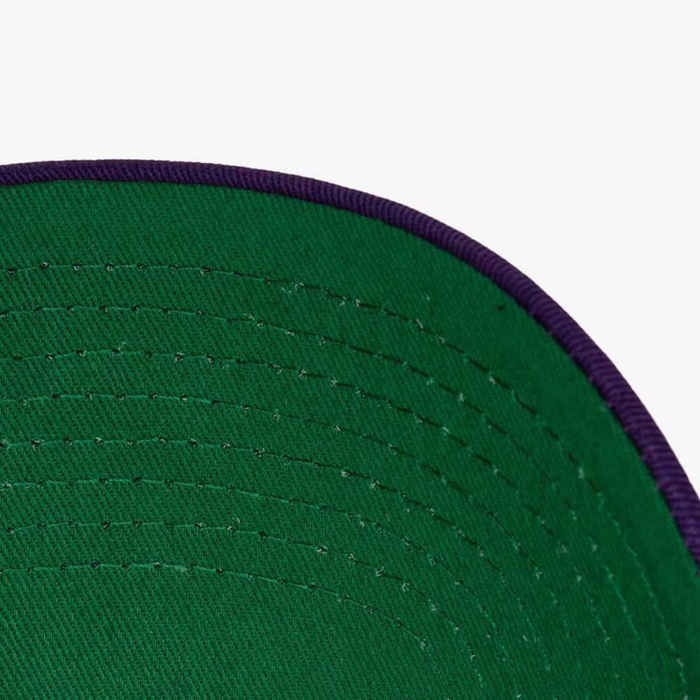 NBA HIGHLIGHT REAL CARTER SNAPBACK HWC RAPTORS