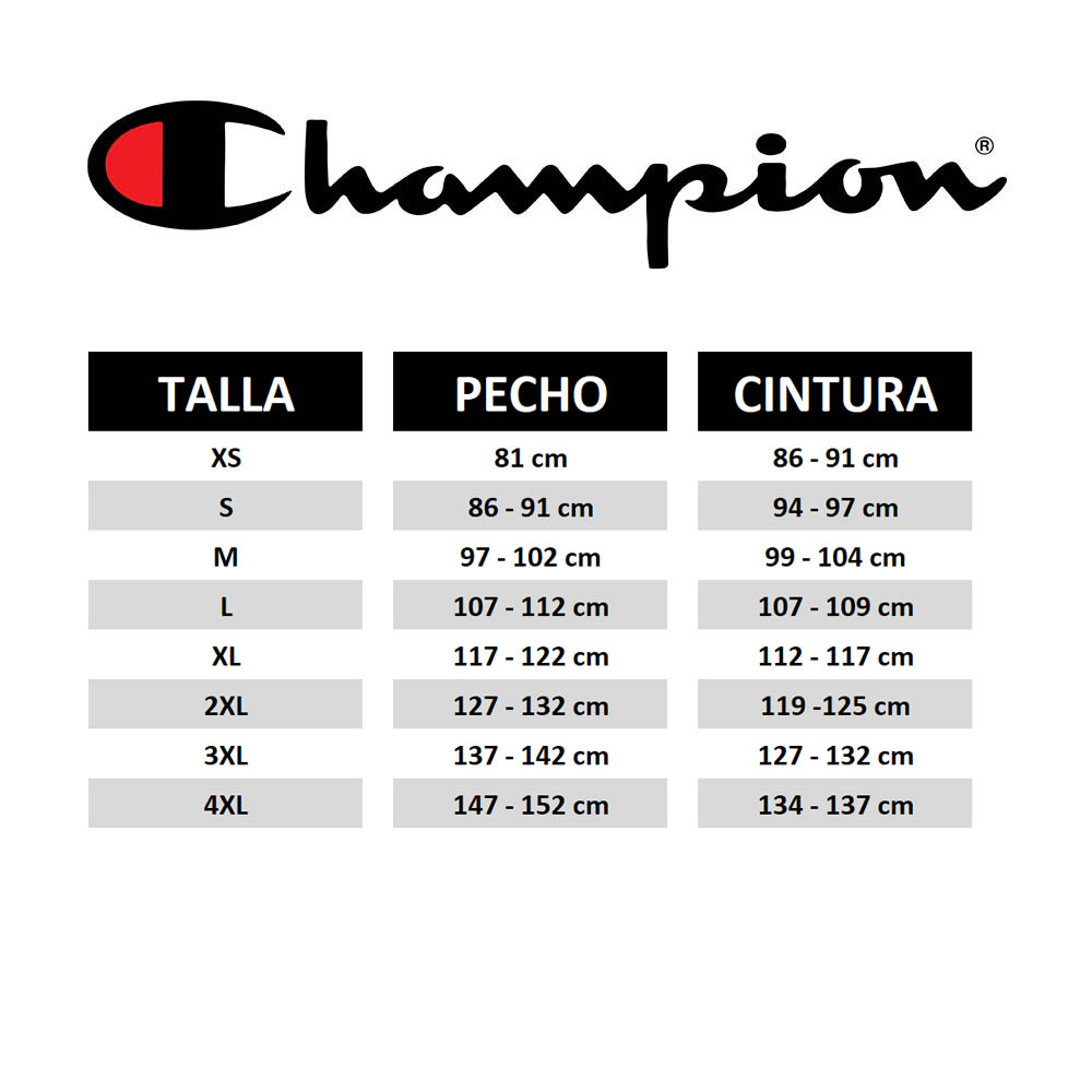 Poleron Hombre Champion Powerblend Graphic Gris