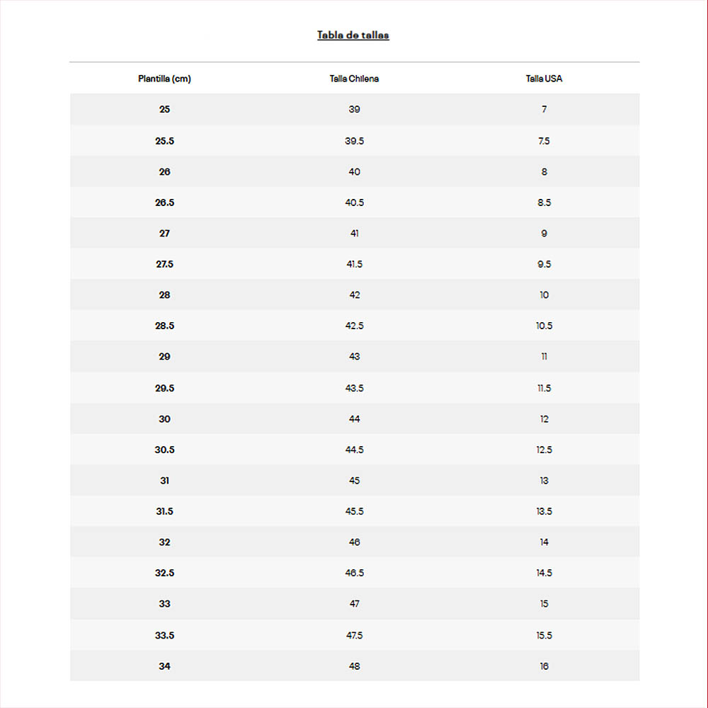 Zapatillas Running Hombre Under Armour Charged Assert 10 Gris