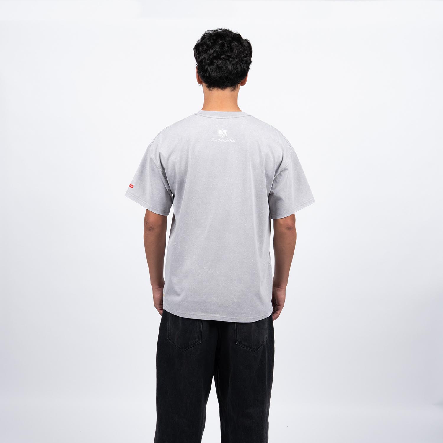 Polera Hombre Colo Colo Urbano Gris Escudo Gris
