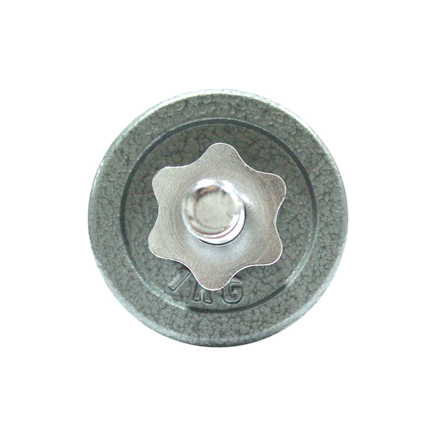 Disco Fierro JKS 1 kg Gris