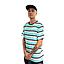 Polera manga corta hombre spitfire stripe to burn celeste