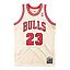 Polera Nba Gold Jersey Bulls 95 Mj Mitchell And Ness