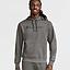 Poleron Hombre Champion Powerblend Graphic Gris Oscuro
