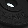 DISCO ACERO 1.25KG NEGRO