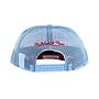 Gorro Trucker Mitchell and Ness Chicago Bulls Visera Curva Celeste