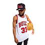 NBA HOME SWINGMAN JERSEY BULLS 97-98 SCOTTIE PIPPEN