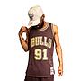 NBA LUX BROWN SWINGMAN JERSEY BULLS 1997 DENNIS RODMAN