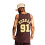 NBA LUX BROWN SWINGMAN JERSEY BULLS 1997 DENNIS RODMAN
