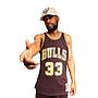 NBA LUX BROWN SWINGMAN JERSEY BULLS 1997 SCOTTIE PIPPEN