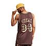 NBA LUX BROWN SWINGMAN JERSEY LAKERS 1996 SHAQUILLE O'NEAL