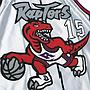 Swingman Nba Toronto Raptors Vince Carter Platinum 1998-99 Hardwood Classics 75th Anniversary Jersey Mitchell And Ness
