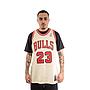 Polera Nba Gold Jersey Bulls 95 Mj Mitchell And Ness