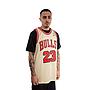 Polera Nba Gold Jersey Bulls 95 Mj Mitchell And Ness