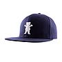 OG BEAR SNAPBACK