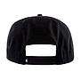 REDWOOD FOREST SNAPBACK