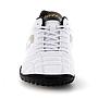 Zapatilla Baby Futbol Hombre Lotto - Stadio 705 TF Blanco Dorado