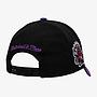 NBA HIGHLIGHT REAL CARTER SNAPBACK HWC RAPTORS