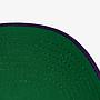 NBA HIGHLIGHT REAL CARTER SNAPBACK HWC RAPTORS