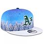 Gorra New Era 9FIFTY Winter Photoreal LRY/White