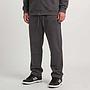 PANTALON SPITFIRE 2026 GRIS