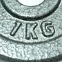 Disco Fierro JKS 1 kg Gris