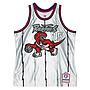 Swingman Nba Toronto Raptors Vince Carter Plat 1998-99 HC 75th Anniversary Jersey Mitchell And Ness