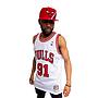 Camiseta authentics NBA bulls 97-98 dennis rodman mitchell and ness